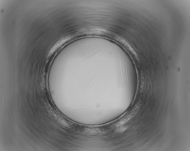 X0000081610978200702051350