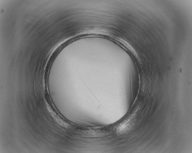 X0000081610980200702051350