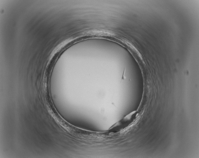 X0000081610981200702051350