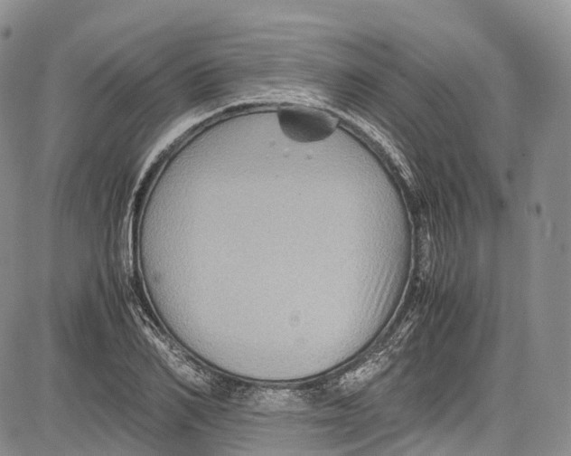 X0000081610982200702051350