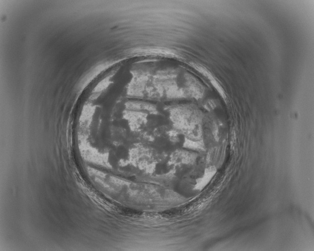 X0000081610983200702051350