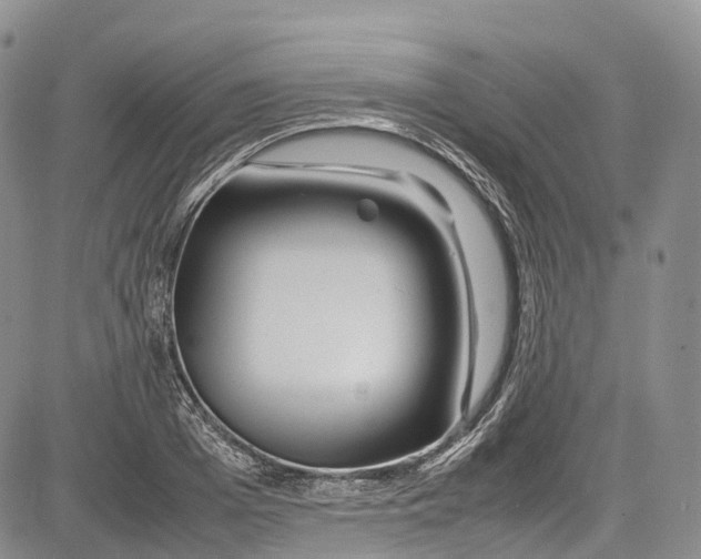 X0000081610985200702051350