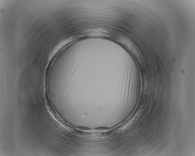 X0000081610986200702051350