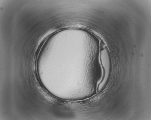 X0000081610987200702051350