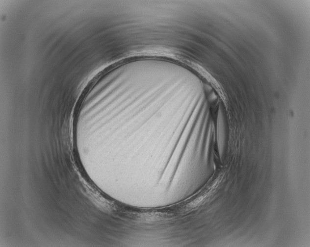 X0000081610988200702051350