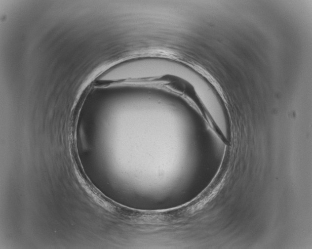 X0000081610989200702051350