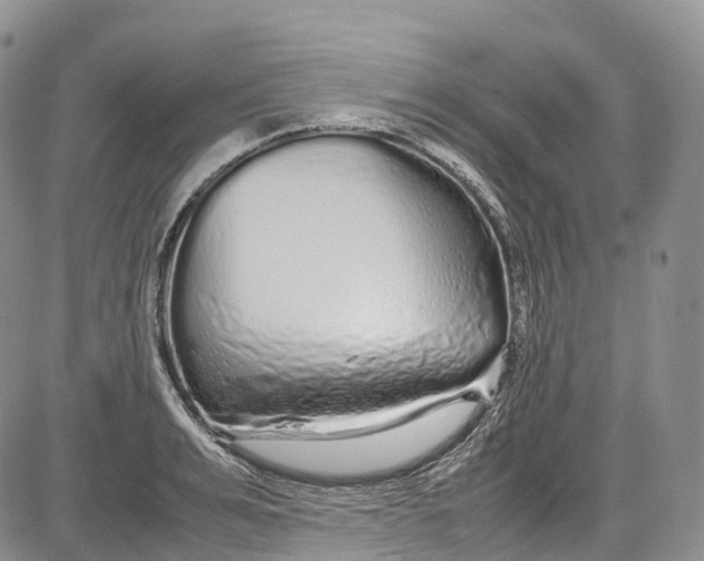 X0000081610991200702051350