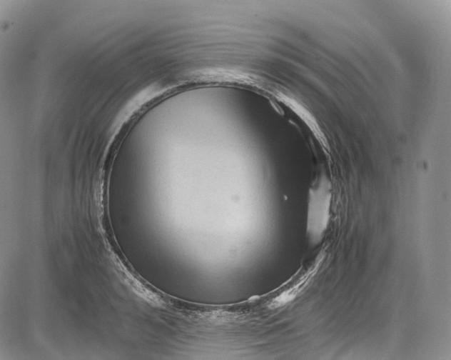 X0000081610992200702051350