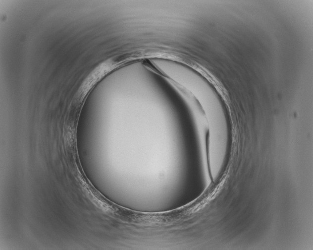 X0000081610993200702051350