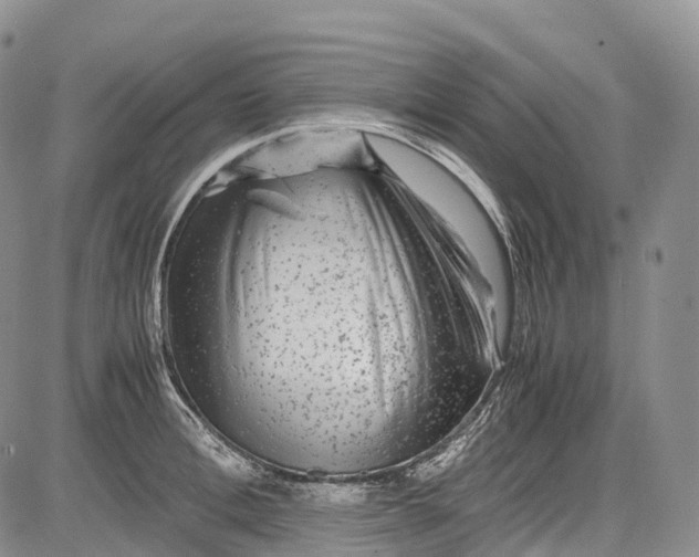 X0000081610996200702051350