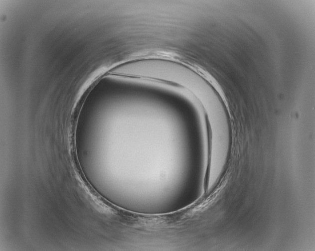 X0000081610997200702051350