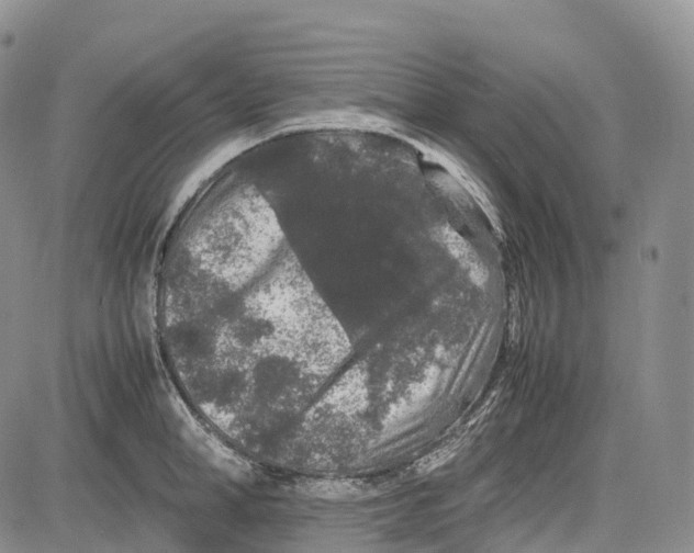 X0000081610998200702051350