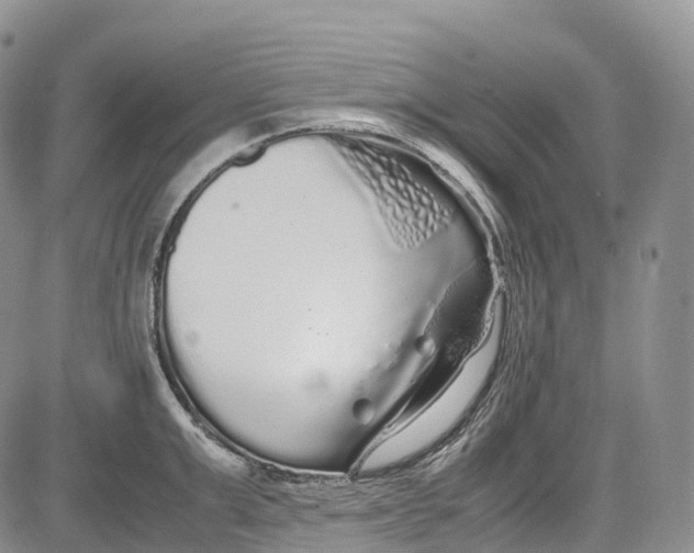 X0000081610999200702051350