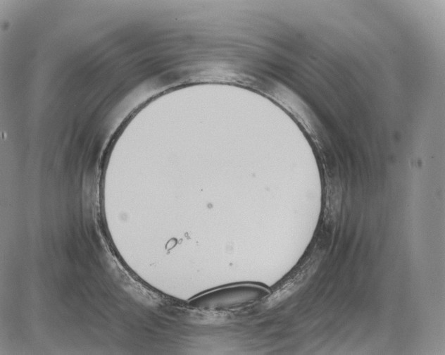 X0000081611000200702051350