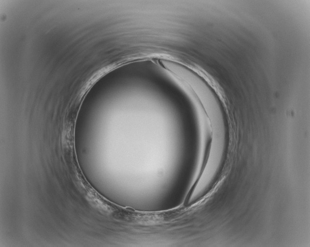 X0000081611001200702051349