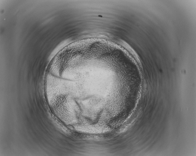 X0000081611002200702051349