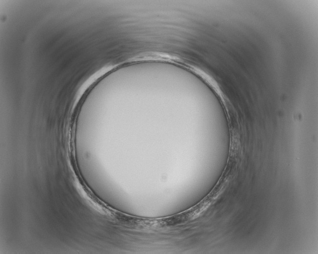 X0000081611003200702051349