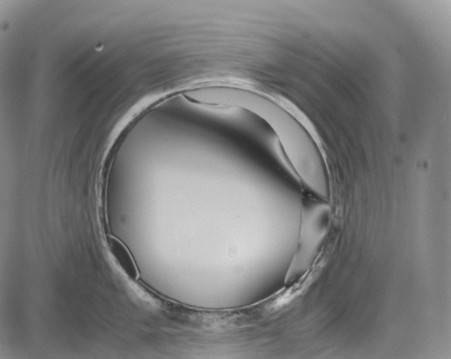 X0000081611005200702051349