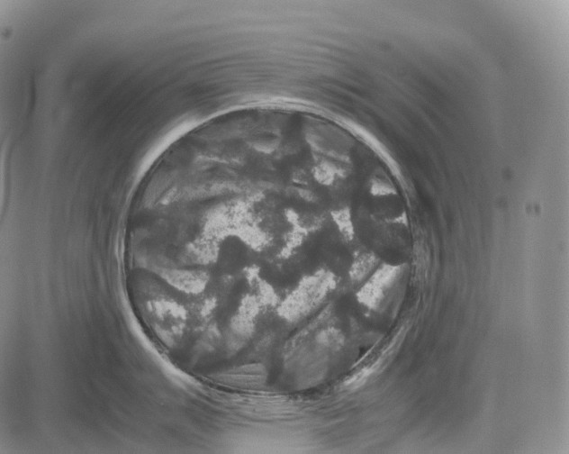 X0000081611007200702051349