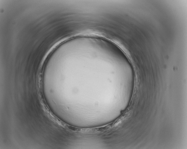 X0000081611008200702051349