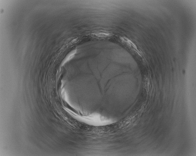 X0000081611009200702051349