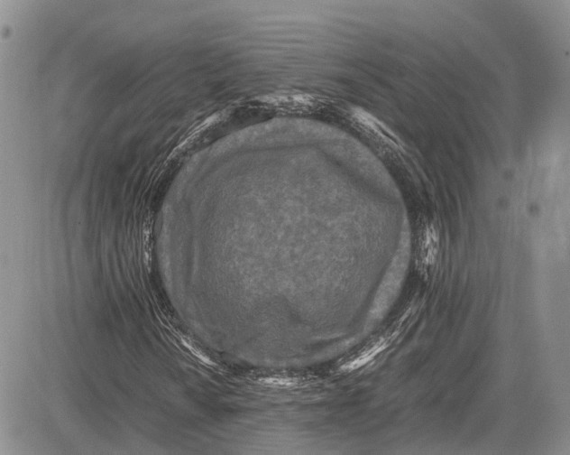 X0000081611010200702051349