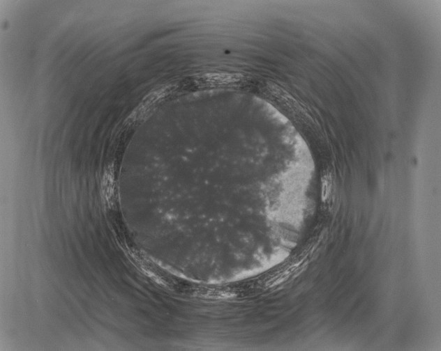 X0000081611011200702051349