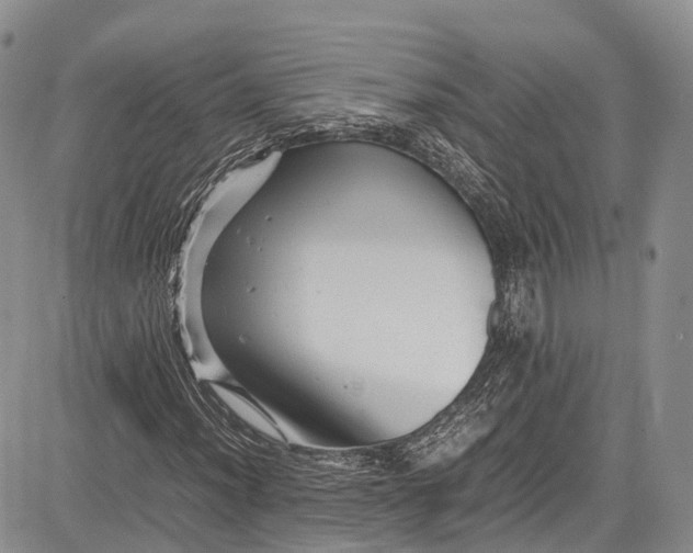 X0000081611012200702051349