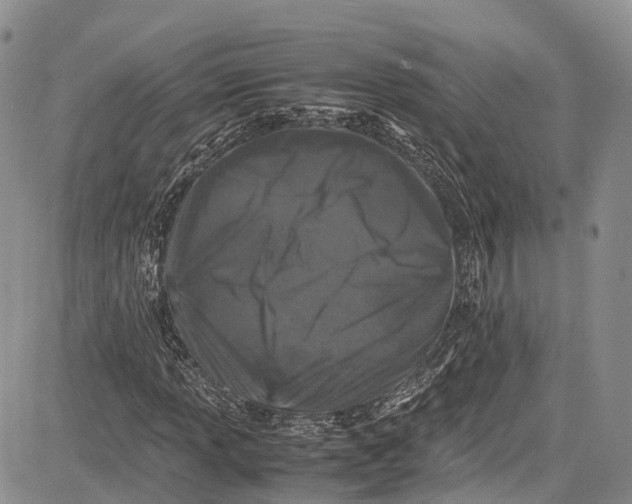 X0000081611013200702051349