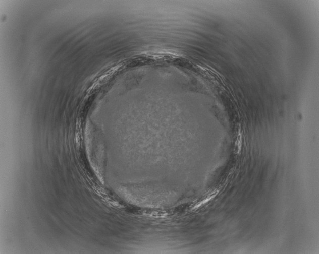 X0000081611014200702051349