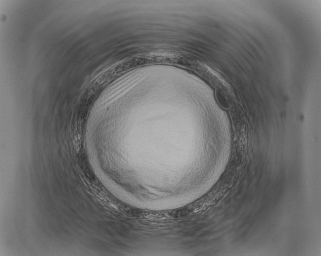 X0000081611015200702051349