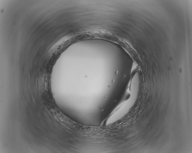 X0000081611016200702051349