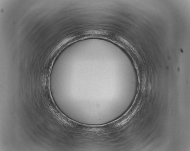 X0000081611017200702051349