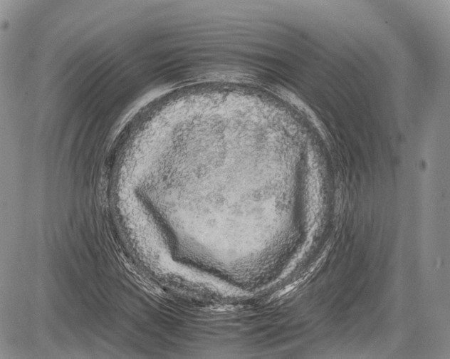 X0000081611019200702051349