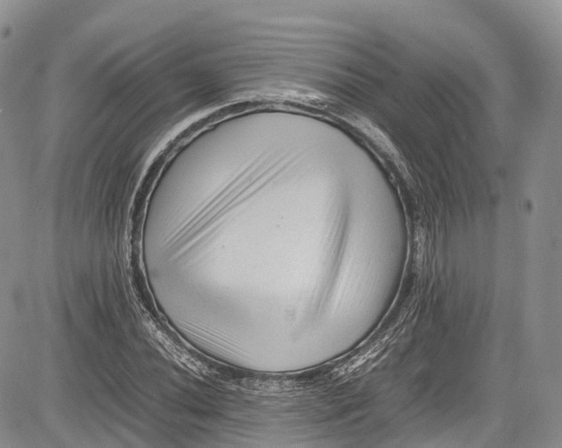 X0000081611020200702051349