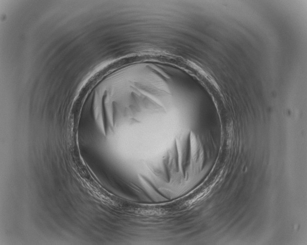 X0000081611021200702051349