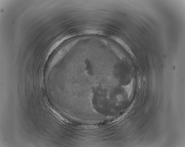 X0000081611023200702051349