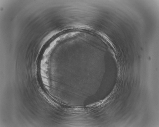 X0000081611024200702051349