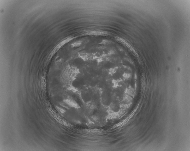 X0000081611025200702051349