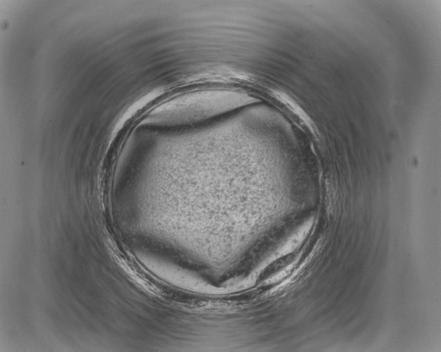 X0000081611026200702051349