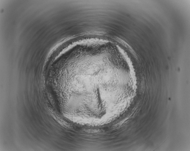 X0000081611027200702051349