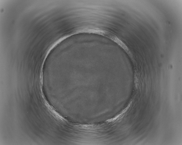 X0000081611028200702051349