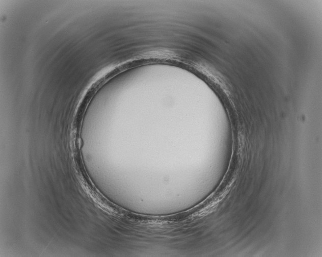 X0000081611029200702051349