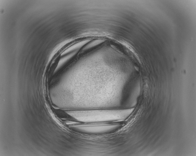 X0000081611030200702051349