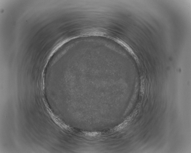 X0000081611031200702051349