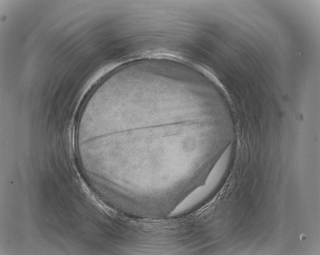 X0000081611032200702051349