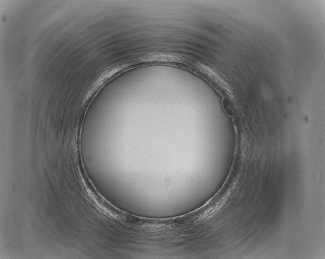 X0000081611033200702051349