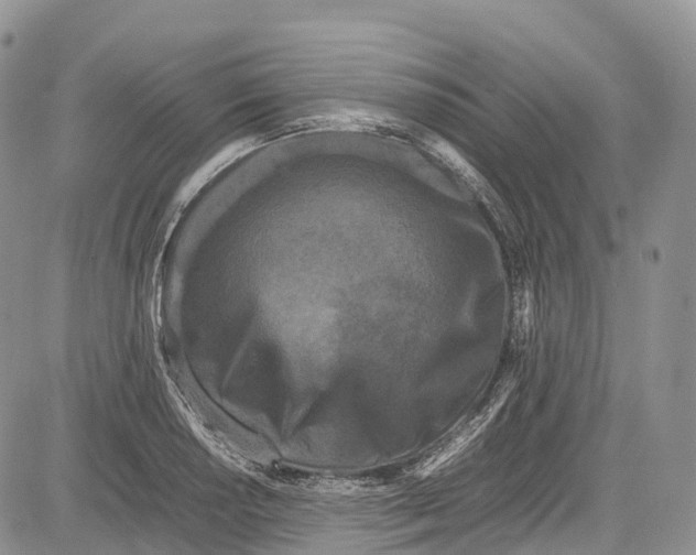 X0000081611034200702051349