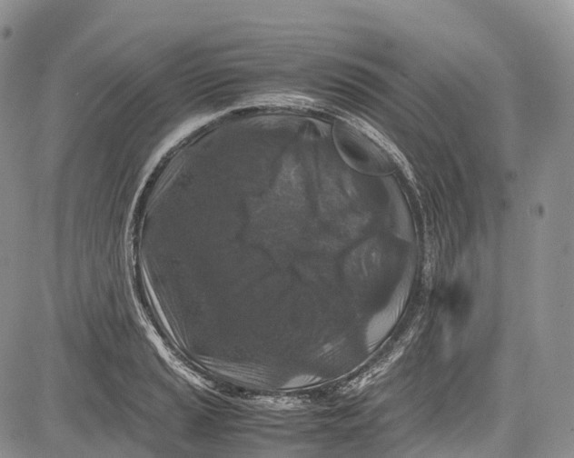 X0000081611037200702051349