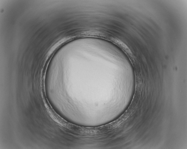 X0000081611039200702051349